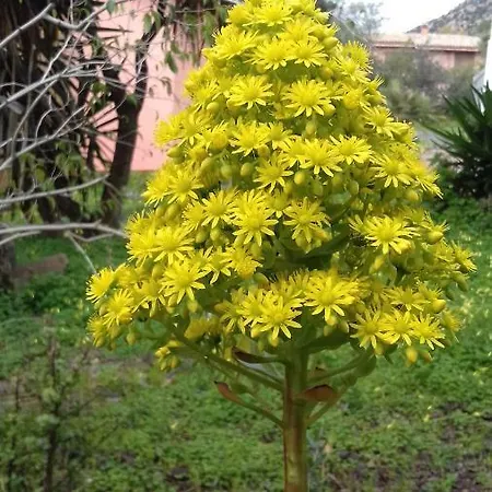 Feriehus Zeffiro Chia