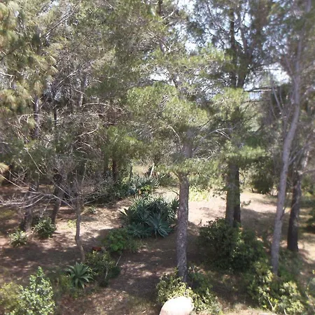 Zeffiro Casa vacanze Chia